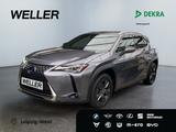 Lexus UX 250h Launch Edition *Bi-LED*ACC*CAM*SHZ*Navi* - Lexus aus 2019