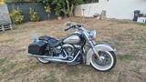 Harley-Davidson Softail Deluxe - CHOPPER VON 751 BIS 1000 CCM