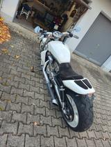 Harley-Davidson V-Rod Muscle VRSCF - HARLEY-DAVIDSON V ROD MUSCLE VRSCF