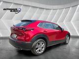 Mazda CX-30 Selection AWD ACC Spur Kamera HeadUp Apple - Mazda CX-3: Awd
