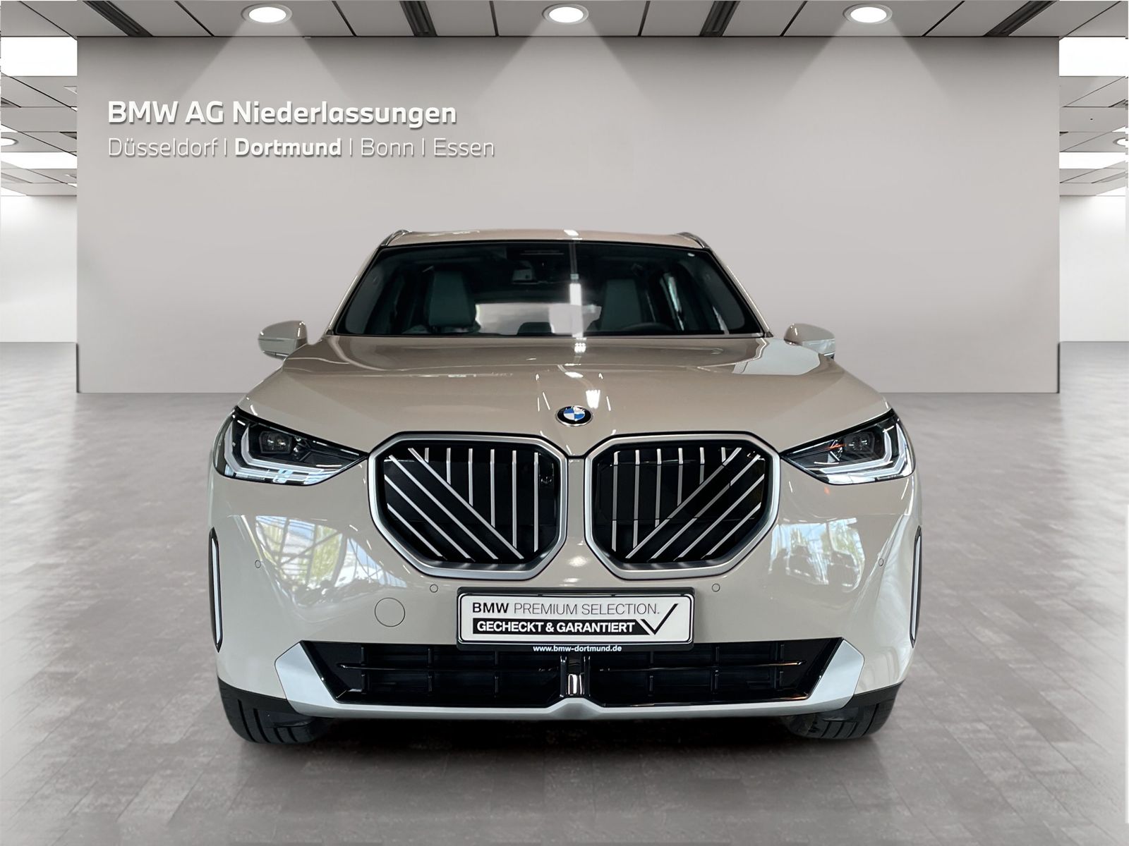 BMW X3 - Bild 8