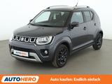 Suzuki Ignis 1.2 DualJet Mild-Hybrid Comfort+ 4x4*NAVI* - graue Suzuki Ignis