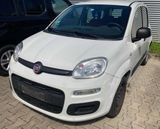 Fiat Panda Easy - Fiat Panda in Leverkusen