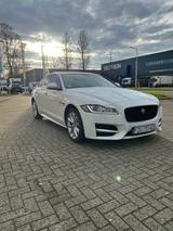 Jaguar XF 20d 180PS R-Sport R-Sport - Jaguar XF in Essen