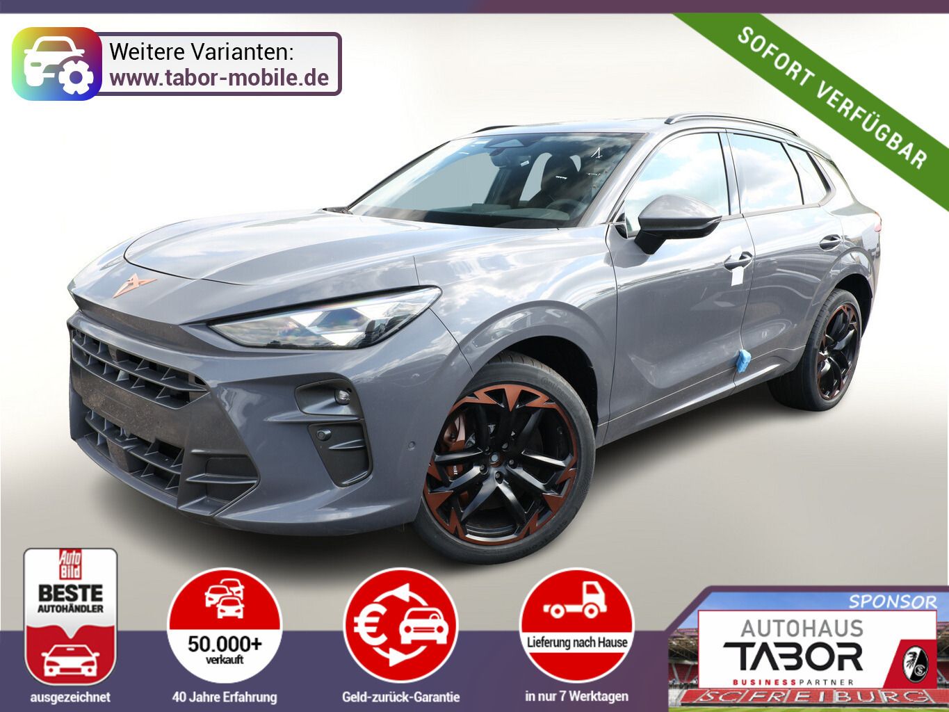 Cupra Terramar - Bild 1