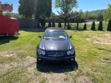 Mercedes-Benz CLK 500 AVANTGARDE Avantgarde - Mercedes-Benz CLK 500 aus 2004