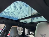 Cupra Terramar - Vorschau Bild 12