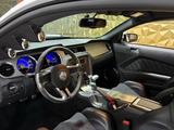 Ford Mustang Shelby American GT 350|624PS|CSM|SAMMLER - Ford Mustang: Gt350