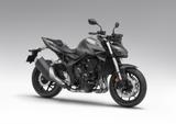 Honda CB1000 Hornet im Zulauf