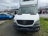 Mercedes-Benz Merzedes Benz sprinter 519 Kühl - Mercedes-Benz: Merzedes