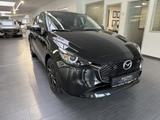 Mazda 2 1.5 90ps PS Homura Voll-LED RFK ACAA - Mazda 2 in Wuppertal