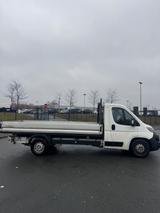 Peugeot Boxer - Peugeot Boxer in Essen