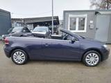 Volkswagen Golf VI Cabriolet 1.6 TDI+GARANTIE+KLIMA+SHZ+PDC - Volkswagen Golf mit Diesel-Antrieb: Cabrio, 1.6