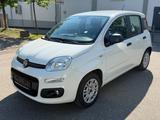 Fiat Panda Easy TÜV NEU/KLIMA/PARKTRONIC/CITY SERVO/ - gebrauchte Fiat Panda aus dem Jahr 2017