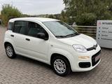 Fiat Panda Easy 1Hand 51 kW HU INSP NEU
