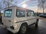Mercedes-Benz G 500 Station Wagon Lang 463 - Mercedes-Benz G-Klasse: Pickup