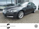 Jaguar XF 3.0 D V6, Leder, Kamera, Sitzbelüftung, GLS.. - Jaguar XF in Stuttgart