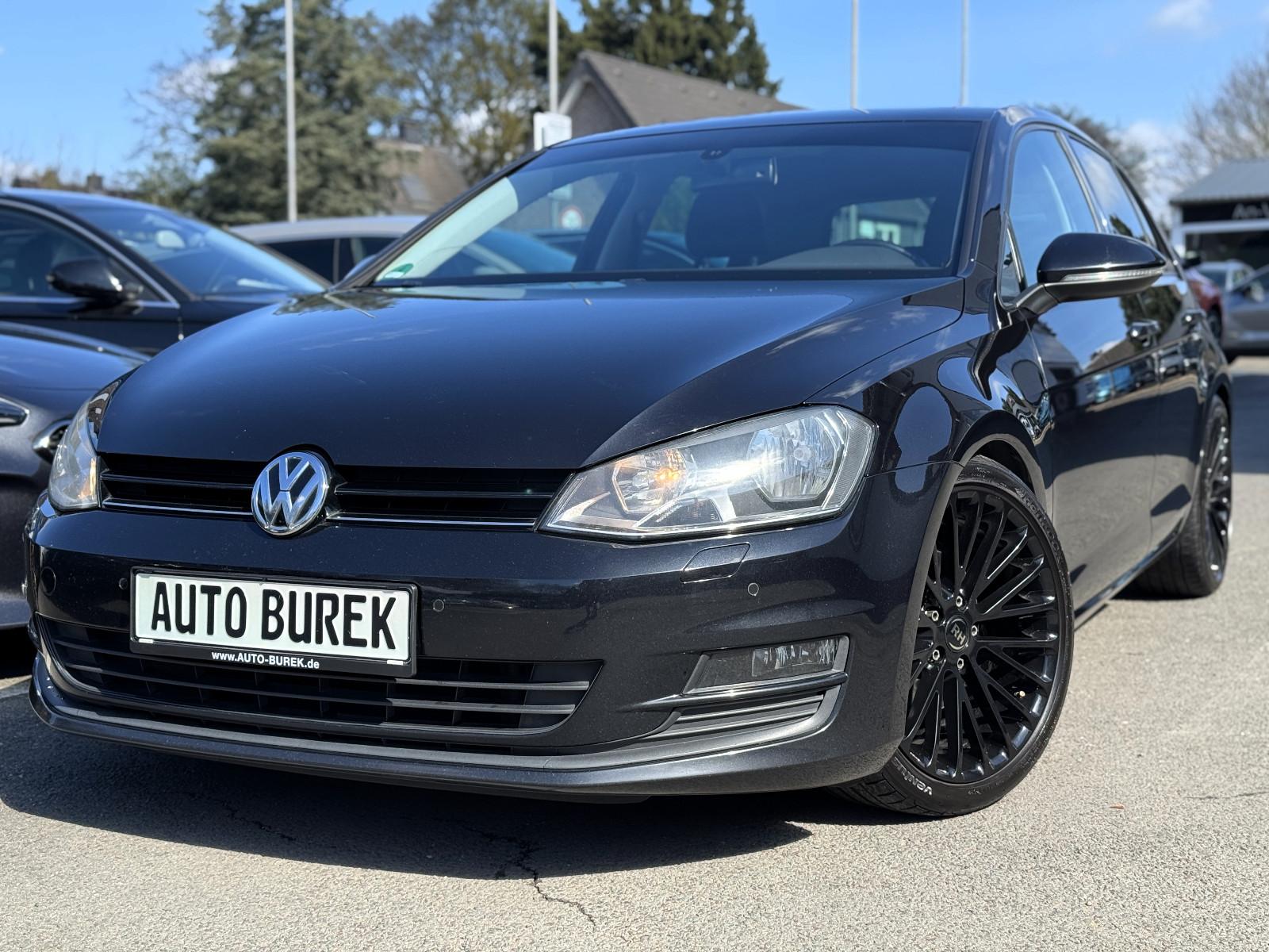 Volkswagen Golf VII Lim. Navi MFL PDC Shz Stdhzg 18" Eibach