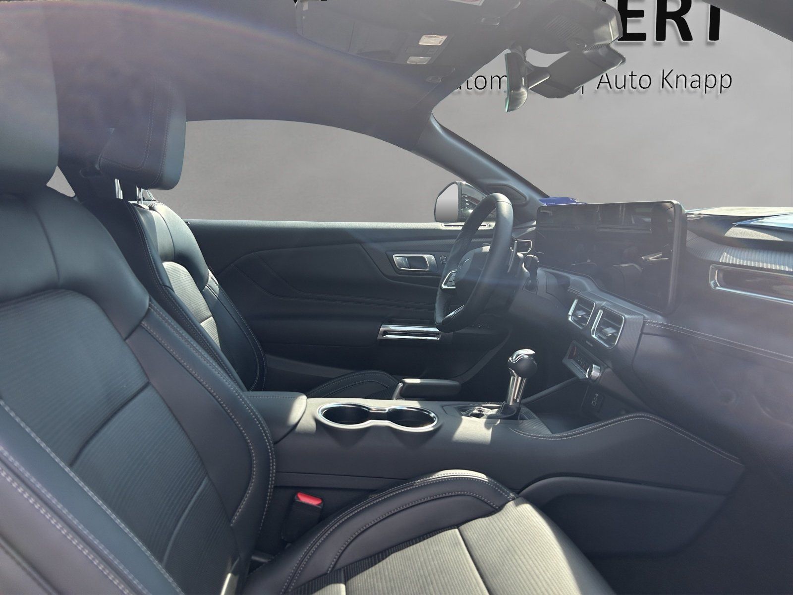 Fahrzeugabbildung Ford Mustang Fastback GT Nite Pony Paket MagneRide