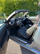 Volkswagen Beetle 1.2 TSI DSG BMT Design Cabriolet Design - Volkswagen Beetle: Leder