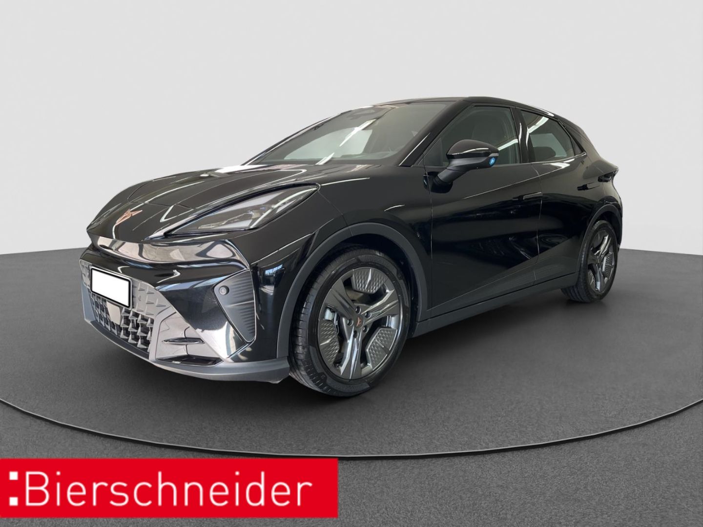 Cupra Raval 52 kWh Endurance Edition Dynamic KAMERA AC