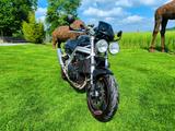 Triumph Speed Triple  T509 - Angebote