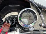 Ducati Scrambler 800 icon - DUCATI 800