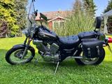 Yamaha Virago 535 Silvertail Auspuff, Vorver.  Fußraste - YAMAHA VIRAGO 535