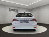Skoda Octavia Ambition 2.0 TDI 6-Gang - Skoda mit Diesel-Antrieb: Limousine, Schaltgetriebe