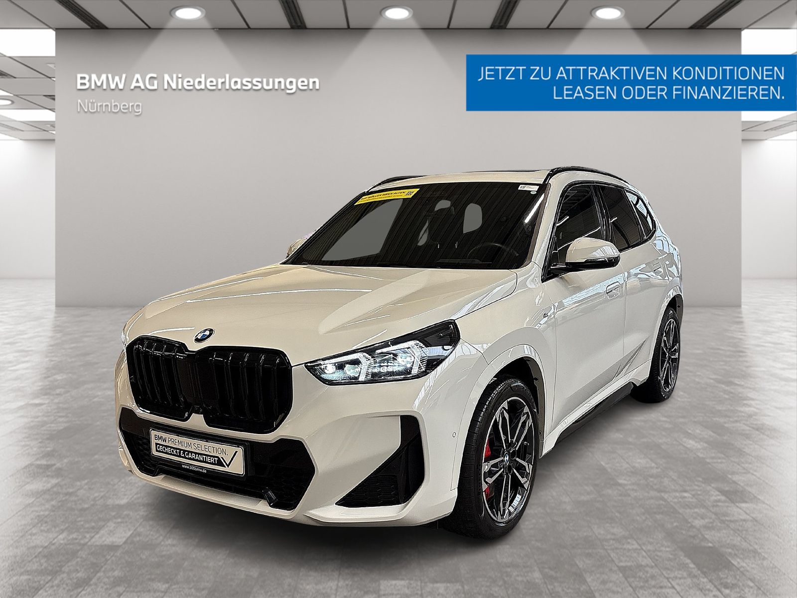 BMW X1 sDrive20i M Sport Driv.Assist.Prof Harman/K