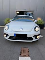 Volkswagen Beetle 2.0 TSI DSG BMT Exclusive R-Line Excl... - Volkswagen Beetle: R Line