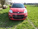 Fiat New Panda 1.2 8V LOUNGE Zahnriemen ern.3.25 - Fiat New Panda Gebrauchtwagen