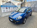 Fiat Punto Evo Punto Evo 1.2 5 porte S&S Dynamic - blaue Fiat Punto Evo