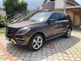 Mercedes-Benz ML 350 BlueTEC 4MATIC - - Mercedes-Benz ML 350 Gebrauchtwagen in Hamburg