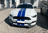 Ford Mustang 5.0 TV8 GT - GT 350 OPTIK - Ford Mustang: Gt350