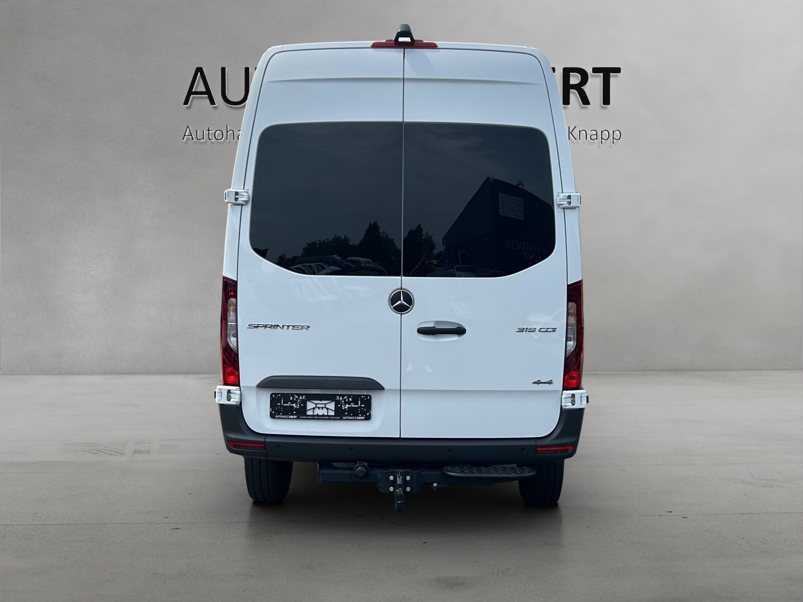Fahrzeugabbildung Mercedes-Benz Sprinter319 Kasten/Mixto 4x4 PRO Hoch AHK Standh