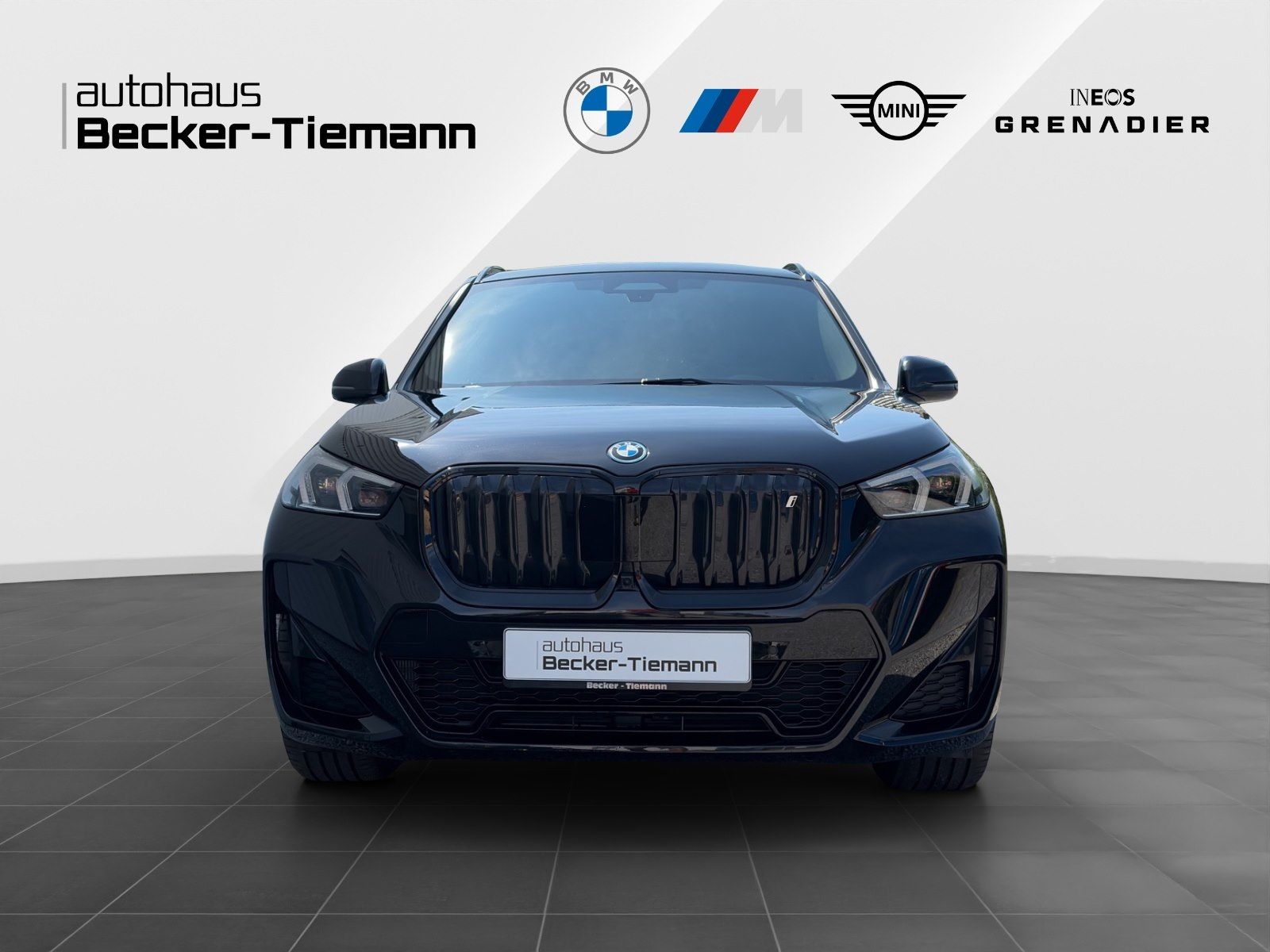 BMW iX1 xDrive30 M Sport HeadUp 20 Adapt. LED foto 2