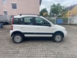 Fiat Panda 1.2 8V Climbing 4X4 +AHK+Tüv bis 08.2026 - Fiat Panda: Allradantrieb, 1.1