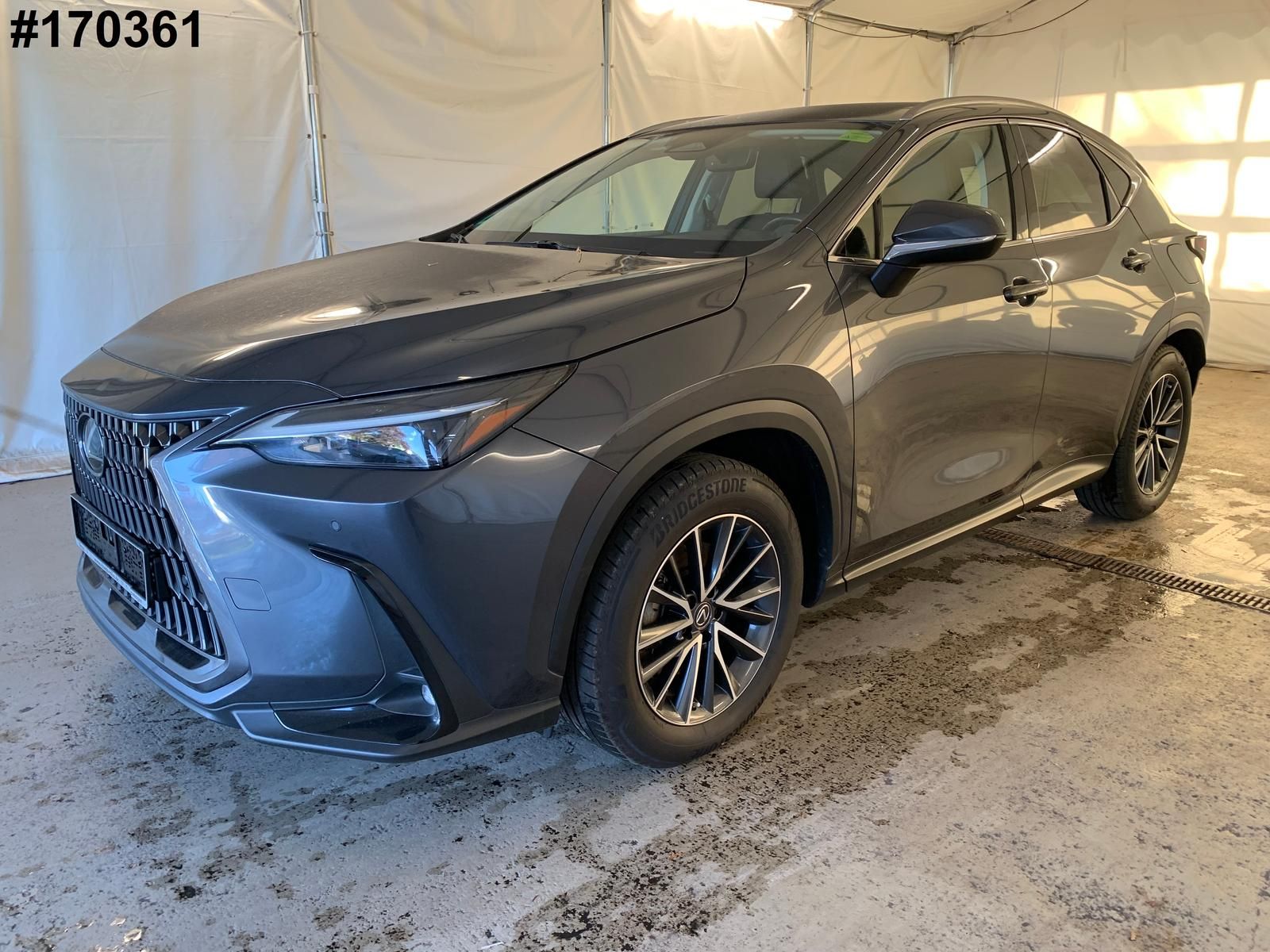 Lexus NX 350 h BUSINESS ACC/LEDER/AHK/DIGITAL-COCK