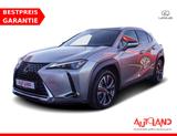 Lexus UX 2.0 Hybrid 250 h LED Navi Kamera Totwinkel - Lexus UX in Leipzig
