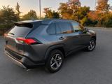 Toyota RAV4 2.5 Hybrid Team Deutschland 218 PS - gebrauchte Toyota RAV 4 aus dem Jahr 2021