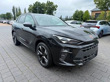 Cupra Terramar - 3