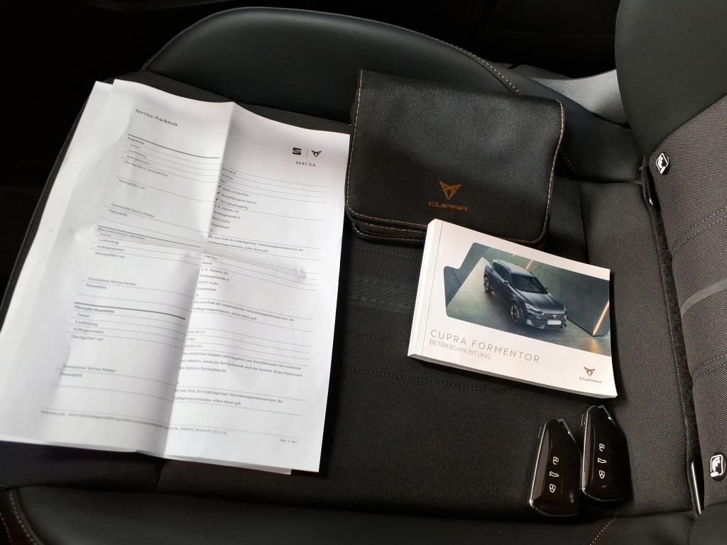 Cupra Formentor 2.0 TSI Klima*Tempo*Nav*PDC*RFK*SH