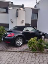 Volkswagen Beetle 1.2 TSI BMT CLUB Cabriolet CLUB - gebrauchte VW Beetle aus dem Jahr 2015