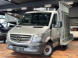 Mercedes-Benz SPRINTER 316 KURZ L1H1 AC GLASTRANSPORT GLASREFF - Mercedes-Benz Sprinter kurz
