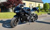 Honda CBR 600 RR PC40 - HONDA 2009 CBR 600 RR