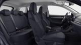 Skoda KAROQ BALANCE  1.5 TSI 3 JAHRE ANSCHLUSSGARANTIE - Skoda Karoq