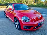 Volkswagen Beetle 1.4 TSI BMT SOUND Cabriolet SOUND - Volkswagen Beetle mit Benzin-Antrieb: Cabrio, 1.4