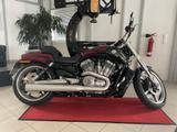 Harley-Davidson VRSCF 1250 V-Rod Muscle, 260 er - CHOPPER 125 ER