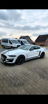 Ford Mustang 2.3, 317ps, Shelby Cobra GT500  - Ford Mustang Gebrauchtwagen in Bielefeld